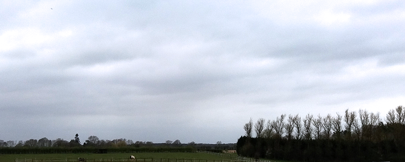 THE HORSE FIELD AT WHP